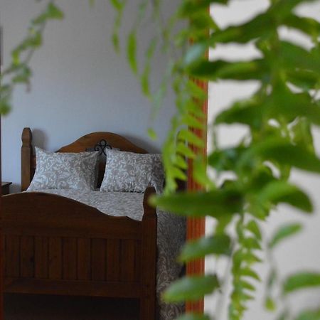 Casa Las Pardelas Icod De Los Vinos Eksteriør bilde